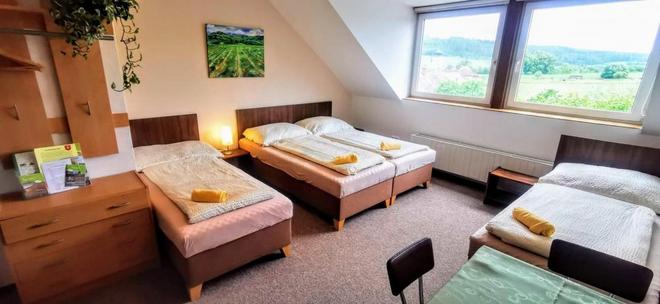 Pension u Radešínka foto 32