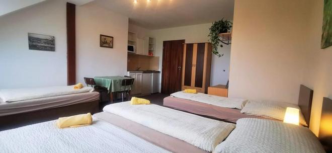 Pension u Radešínka foto 34