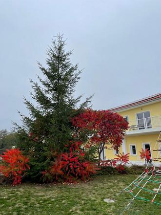 Holiday Centrum  foto 48