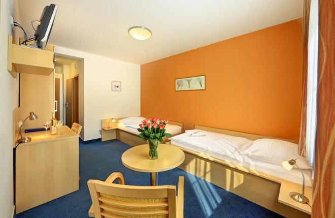 Penzion KRUMLOV - Massage studio foto 48