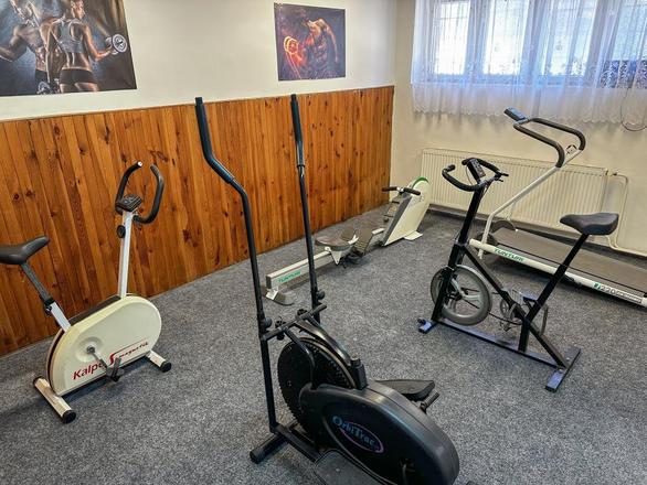 Sport Hotel Gejzírpark, Karlovy Vary foto 9
