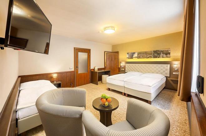 Hotel Zlatá hvězda foto 44