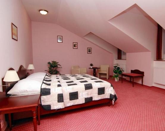 Golf Resort Hotel Konopiště foto 47
