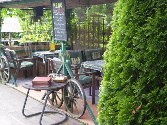Pension a restaurant VESNA foto 9