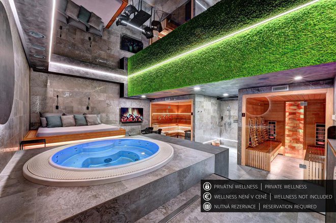 WELLNESS HOTEL FÉNIX foto 16