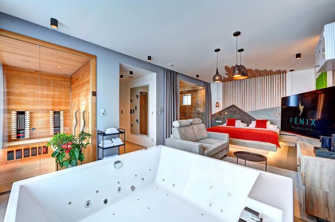 WELLNESS HOTEL FÉNIX foto 19