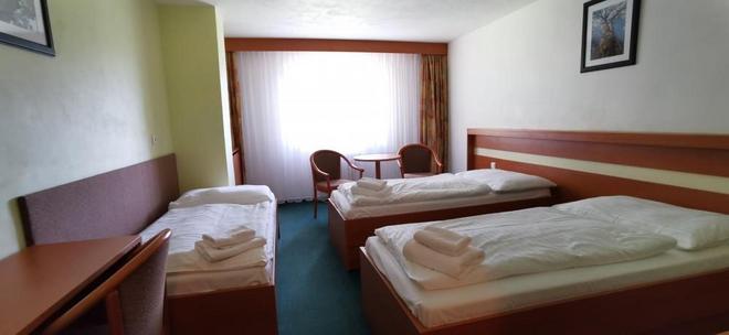 Hotel Svratka foto 33