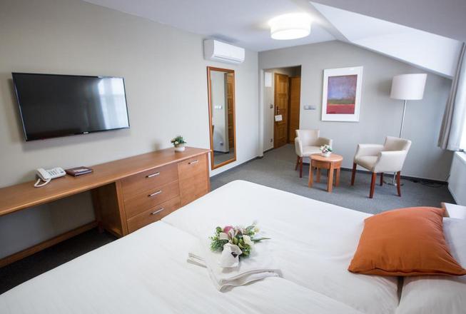 Hotel Pod Věží foto 19
