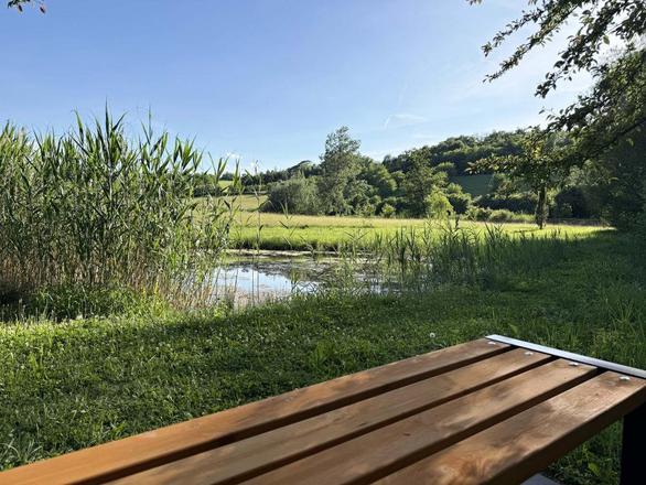 Na Zeleném statku, penzion, restaurace foto 35
