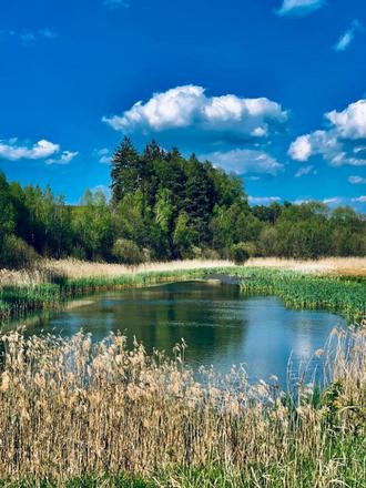 Apartmány Ralsko - Bažantnice Ploužnice foto 39