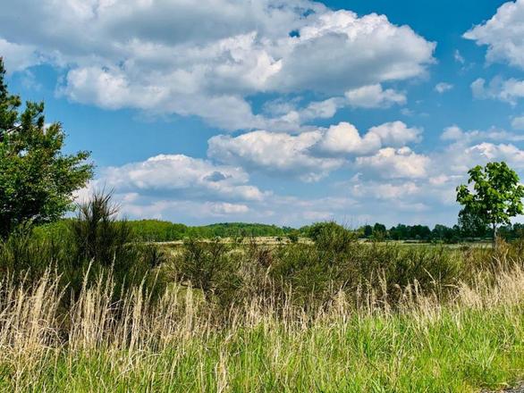 Apartmány Ralsko - Bažantnice Ploužnice foto 40