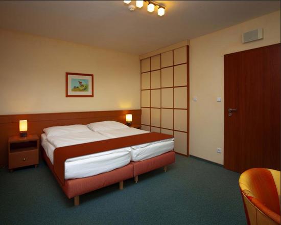 Hotel Petrovy kameny foto 23