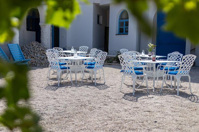 Naturální vinařství Dvorek - Penzion, Bistro & Wellness foto 7