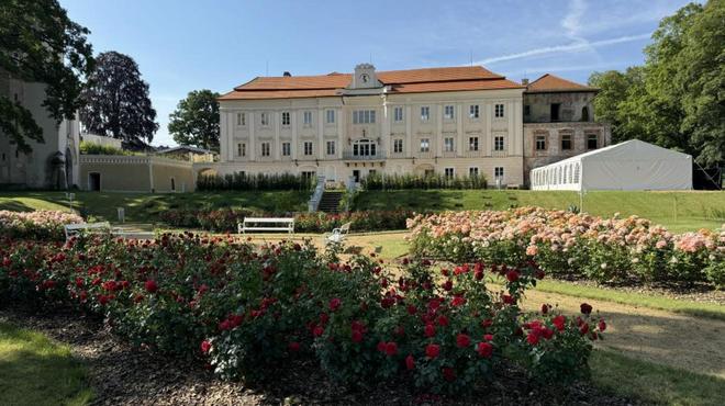 Zámek Bystřice nad Úhlavou foto 41