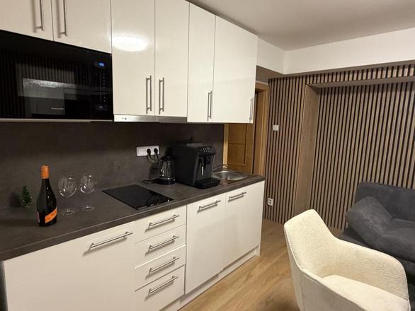 Airport Luxury Apartment & Spa Prague foto 3