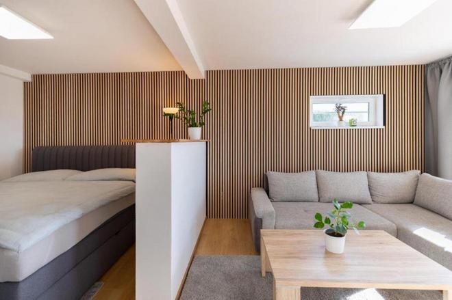 Airport Luxury Apartment & Spa Prague foto 14