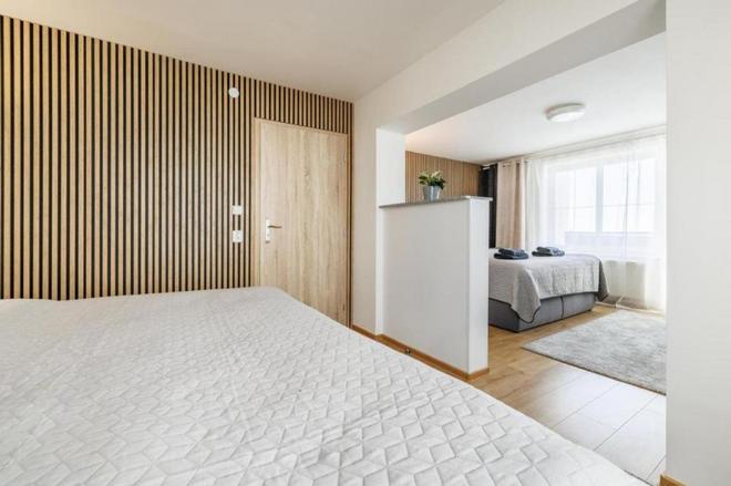 Airport Luxury Apartment & Spa Prague foto 35