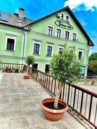 Hotel Zelený dům foto 1