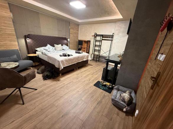Hotel Zelený dům foto 9