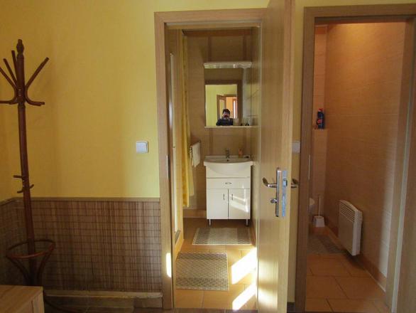 apartm&aacute;n TŘI koupelna