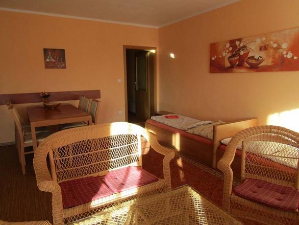 apartm&aacute;n TŘI ob&yacute;vac&iacute; m&iacute;stnost s j&iacute;deln&iacute;m stolem a dv&